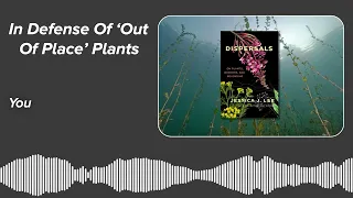 In Defense Of ‘Out Of Place’ Plants