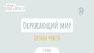 Органы чувств. Окружающий мир (аудио). В школу с Верой и Фомой