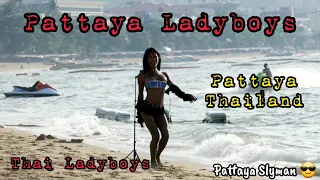 Pattaya Ladyboys, Thai Ladyboys, Pattaya Thailand