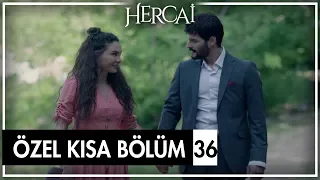 Hercai Özel Kısa Bölümler | 36. Bölüm