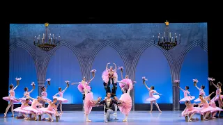 Adagio from Grand Pas des Corbeilles - @BayerBalletAcademy’s Esmeralda Suite