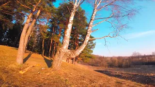 Fpv Freestyle / forest / лес