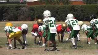 Patos Salvajes vs Linces Hornets S2 2011.mpg