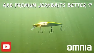 Underwater Jerk bait Showdown:  Premium Jerk Bait Underwater Comparison...  Which bait is Best ?