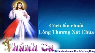 How To Pray The Chaplet Of The Divine Mercy (Vietnameses) - Joseph Tran Dinh Long