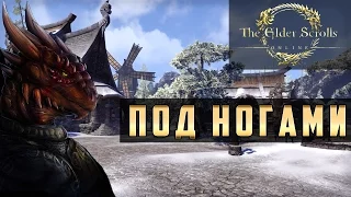 Прохождение The Elder Scrolls Online (TES Online) - Под ногами #6