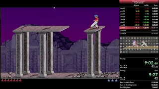 Prince of Persia 2 (DOS) - Any% Speedrun in 16:10