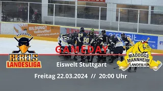 Gameday vs. Maddogs Mannheim 1b