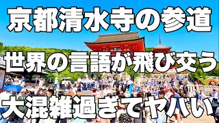 【4K】2024年5月29日（水）世界の言語が飛び交う京都清水寺。大混雑過ぎてヤバい！京都清水寺，这里讲着世界各地的语言。人多得吓人啊！ Kyoto japan walk