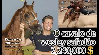 Don Principe Bar O Cavalo de Wesley Safadão que custou 2 milhões 240 mil reais