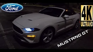 2019 Ford Mustang GT Premium Automatic | 4K | POV | Rainy Night Test Drive