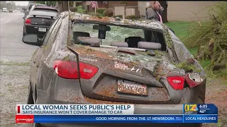 Tree falls onto Bakersfield woman’s car, insurance cannot cover