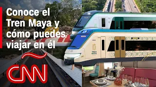 Así es el Tren Maya: historia, inauguración, costos y ruta