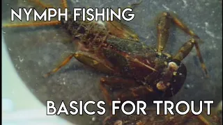 Nymph Fishing Basics for Trout