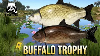 Buffalo Trophy Spot at Akhtuba River - Russian Fishing 4