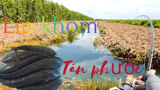 Líp khóm nước trong nhưng cá vẫn còn nhiều #lurefishing #lure #giaitri #phuongtgvlogs