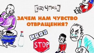 Зачем нам чувство отвращения? - Научпок