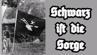 Schwarz ist die Sorge - Bauernprotestlied/Peasant Protest Song + English Translation