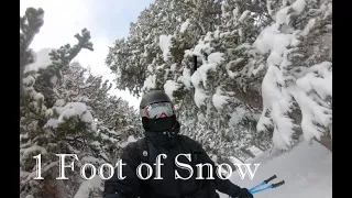 Tree Runs at Solitude | Ski Utah Powder