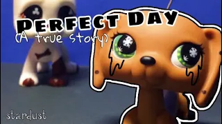 Lps Music Video ~ Perfect Day (a true story )