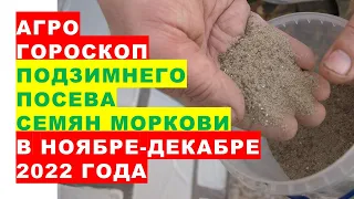 Агрогороскоп подзимнего посева семян моркови в ноябре-декабре 2022 года