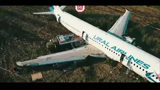 Три дня уничтожения севшего в поле A321 уместили в минуту видео