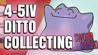 How to Get PERFECT Breeding Ditto in Pokemon Sword & Shield (4/5/6 IVs)