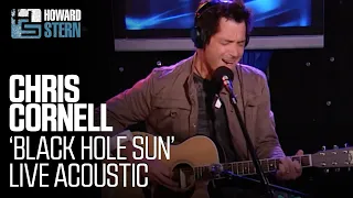 Chris Cornell “Black Hole Sun” on The Howard Stern Show (2007)
