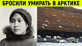 Ее оставили наедине с белыми медведями! История выживания женщины на далеком арктическом острове