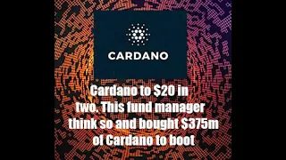 Cardano to $20 within 2 years says fund manager who is investing $400 million in Cardano