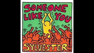 Sylvester - Someone Like You (Larry Levan 12'' Mix) [Trouble In Paradise Edit]