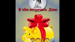 В ЧЁМ ВСТРЕЧАТЬ ДЕВЕ 2019 ГОД?