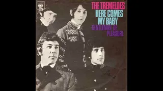 HERE COMES MY BABY (2021 MIX) TREMELOES