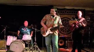 Roy Pastorek plays the blues - Born in Georgia