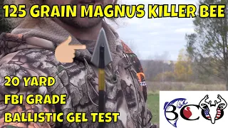 Magnus killer bee ballistic gel test | bco review |