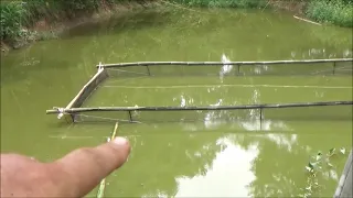 The First Floating Tilapia Cage Is Finished