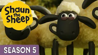 Shaun the Sheep Season 5 🐑 All Episodes (1-20) 😱 Fun, Laughs & Adventure | Cartoons for Kids