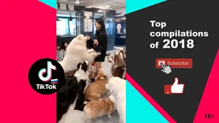 @TikTok RU | ЭТИ ПЕСНИ ИЩУТ ВСЕ ♫ ♪ ♫ ПОПУЛЯРНЫЕ ПЕСНИ В TIKTOK ♫ ♪ ♫ ПОПРОБУЙ НЕ ПОДПЕВАТЬ