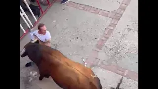 Cogida mortal de un toro a un vecino natural de Carpio en el encierro de La Seca. - CyLTV