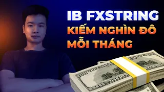 FXSTRING | IB Forex Là Gì? Tại Sao Bạn Nên Trở Thành IB Trên Fxstring