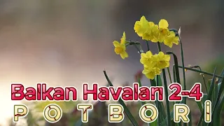 Balkan Havaları 2-4 Potbori