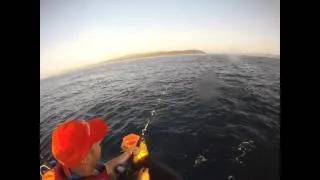 Jetski Fishing: Shark Vs Tuna, South Africa