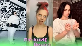 ЛУЧШИЕ ВИДЕО ТИК ТОК И ЛАЙК 2019 | ПРИКОЛЫ Tik Tok & Like Самые Няшные и Прикольные Видео