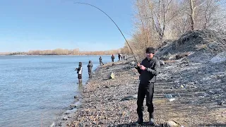 Ох и рыбаков собралось! В ЭТОМ МЕСТЕ ВСЕГДА ЕСТЬ РЫБА! Судак, Окунь, Лещ на спиннинг