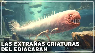 ¡Antes de los dinosaurios: los misterios de la era perdida de las criaturas ediacaranas! Documental