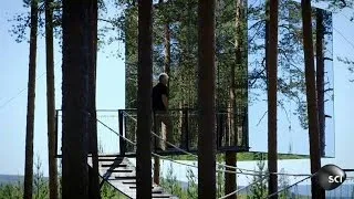 How to Build an Invisible Tree House | World's Strangest