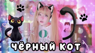 Песни от всей души ✧ Чёрный кот 🐈‍⬛ Тамара Миансарова | Кристина Ашмарина • Кавер со стрима