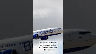 "Белавиа" запустит регулярные рейсы из Гомеля в Москву с 29 октября