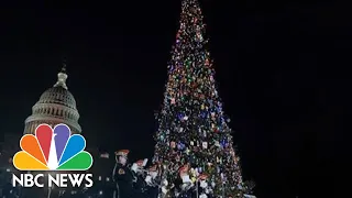 Pres. Trump Speaks At National Christmas Tree Lighting Ceremony | NBC News (Live Stream Recording)