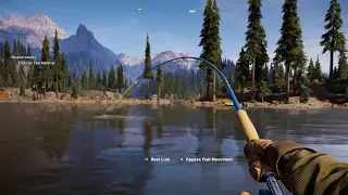 Far Cry® 5 how to complete the admiral fish mission